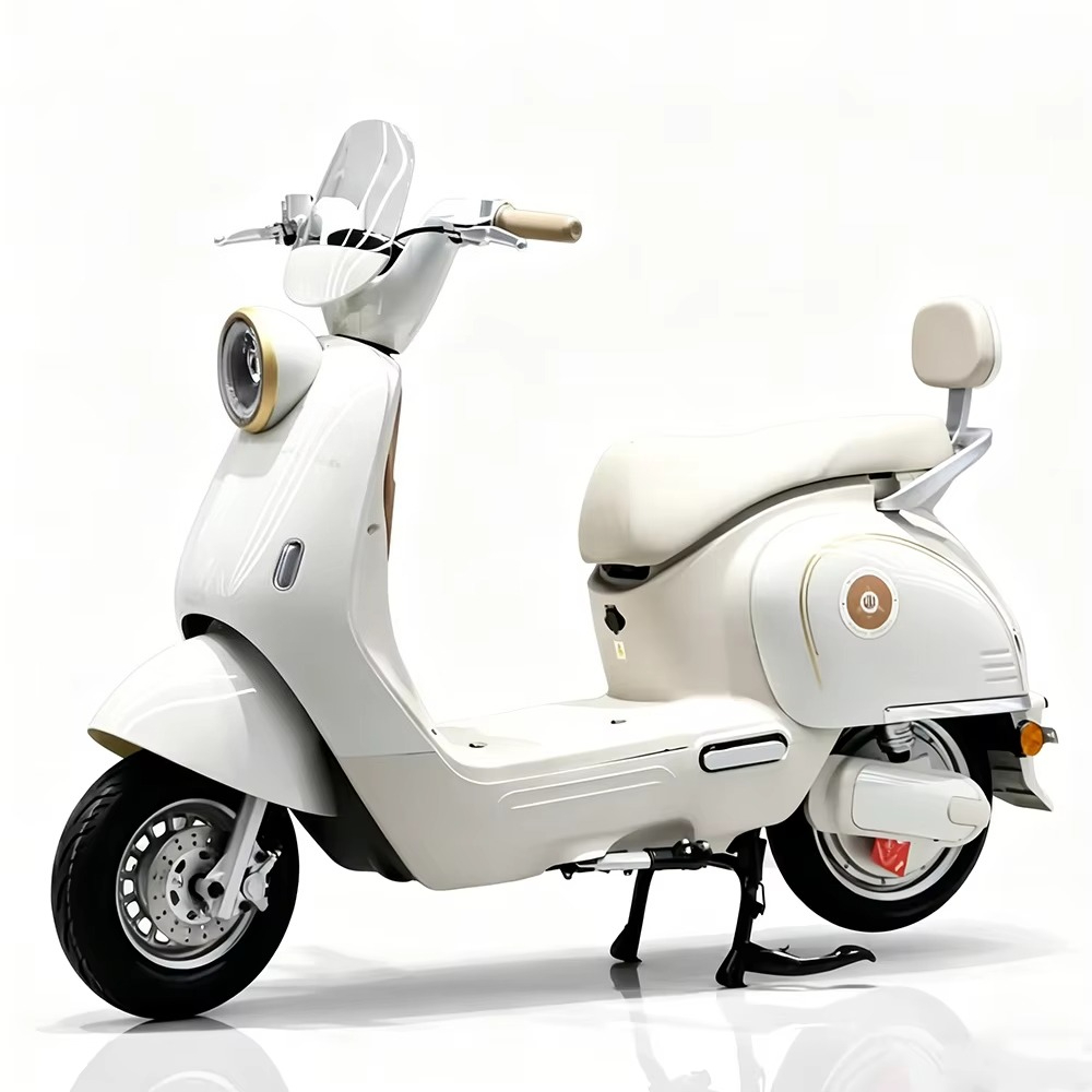 EER製、大人用電動バイク。ディスクブレーキ搭載。大人向けの - Brake Disc Motorcycle のレビューと価格